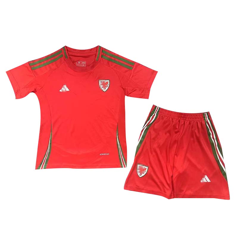 Camiseta Gales 2024 Home Niño Kit