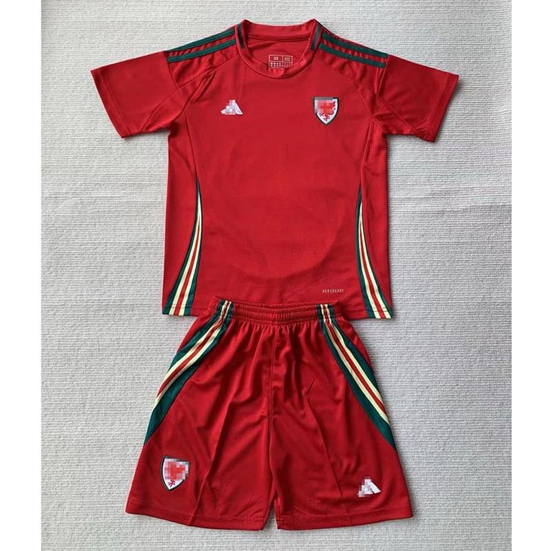 Camiseta Gales 2024 Home Niño Kit