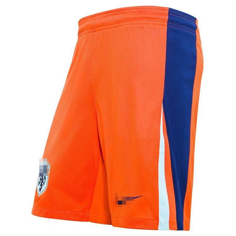 Camiseta VIRGIL 4 Holanda 2024 Home