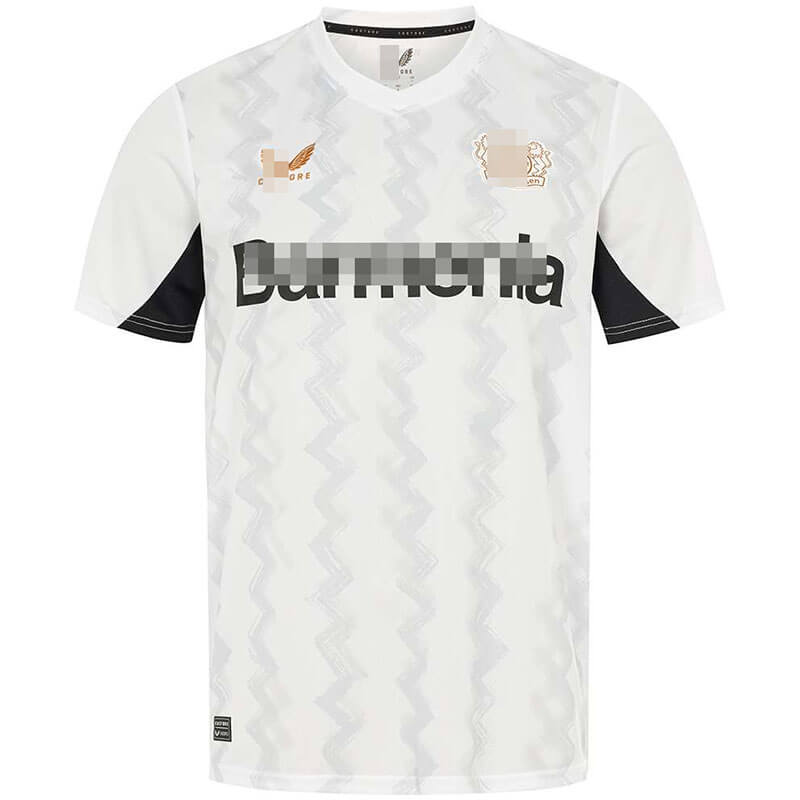 Camiseta Leverkusen 2024/2025 Away