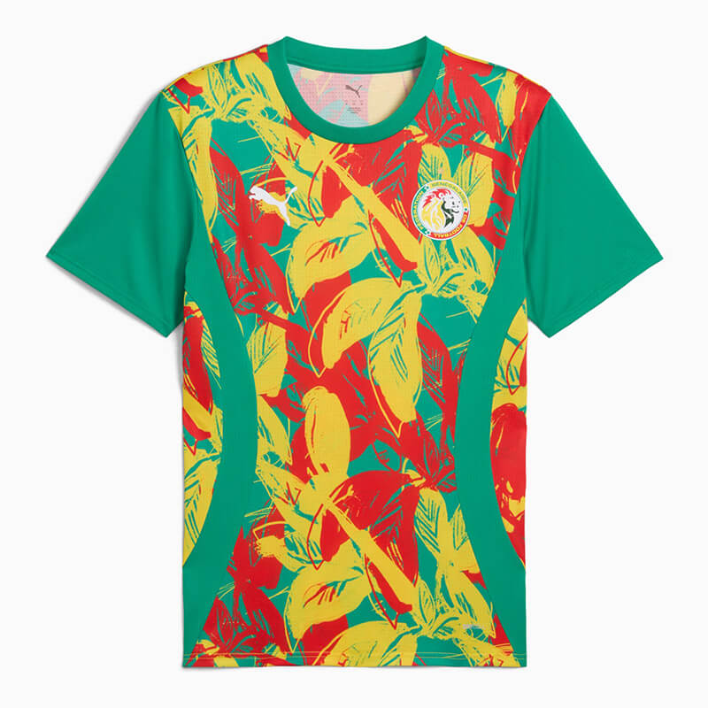 Camiseta Senegal Pre-Match 2025 Verde