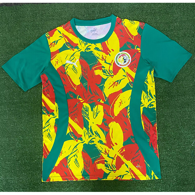 Camiseta Senegal Pre-Match 2025 Verde