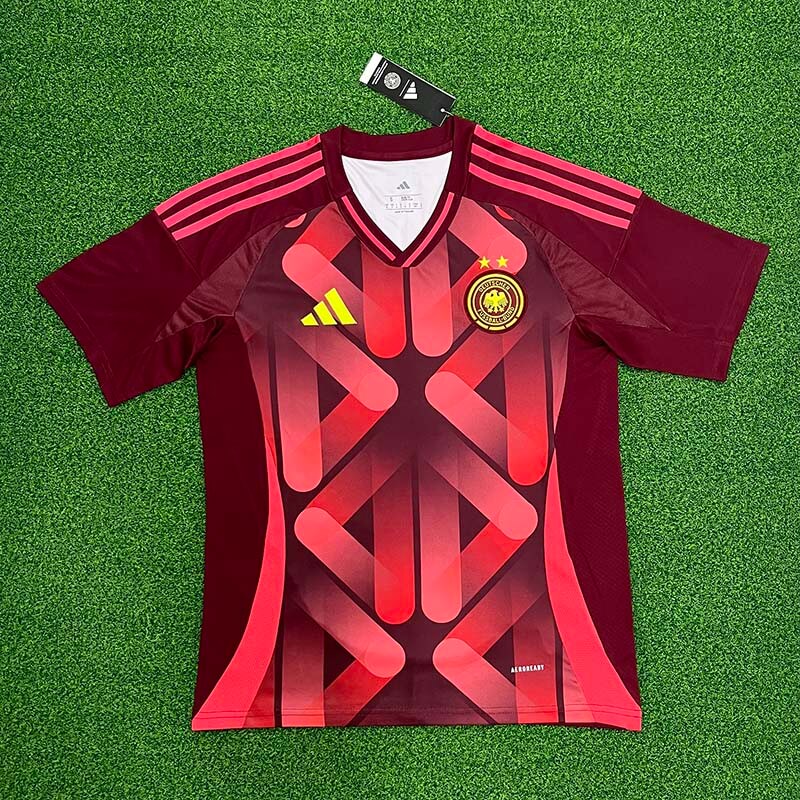 Camiseta Alemania la EURO Femenina 2025 Away Rojo