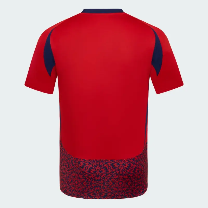 Camiseta Costa Rica 2024 Home