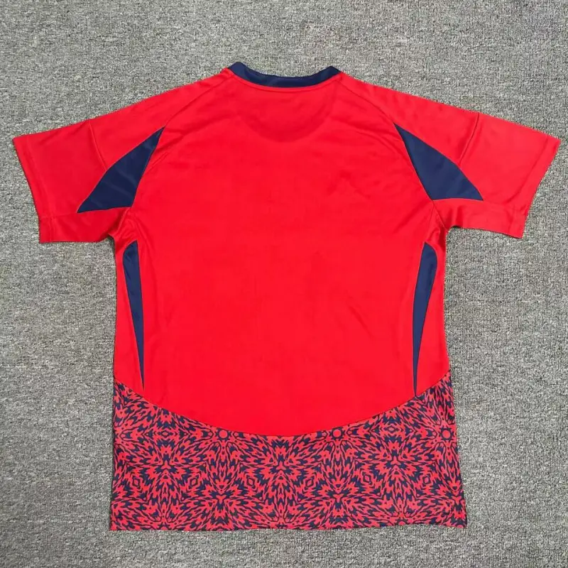 Camiseta Costa Rica 2024 Home