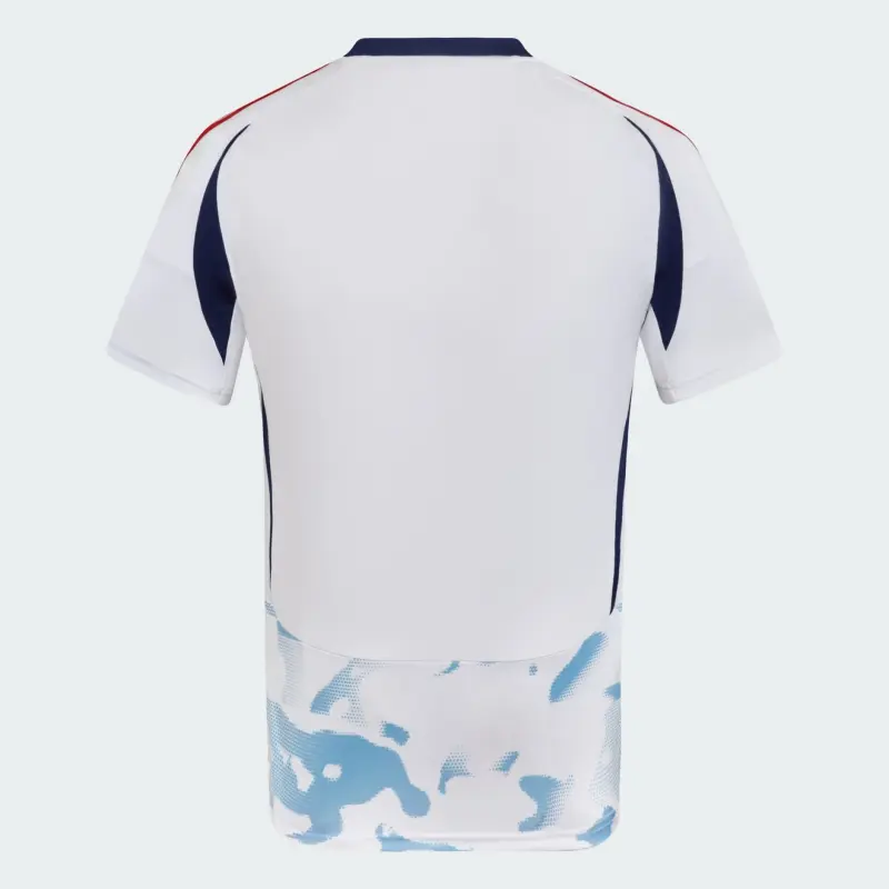 Camiseta Costa Rica 2024 Away