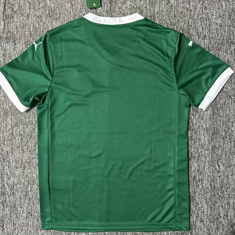 Camiseta Palmeiras 2025/2026 Verde Home