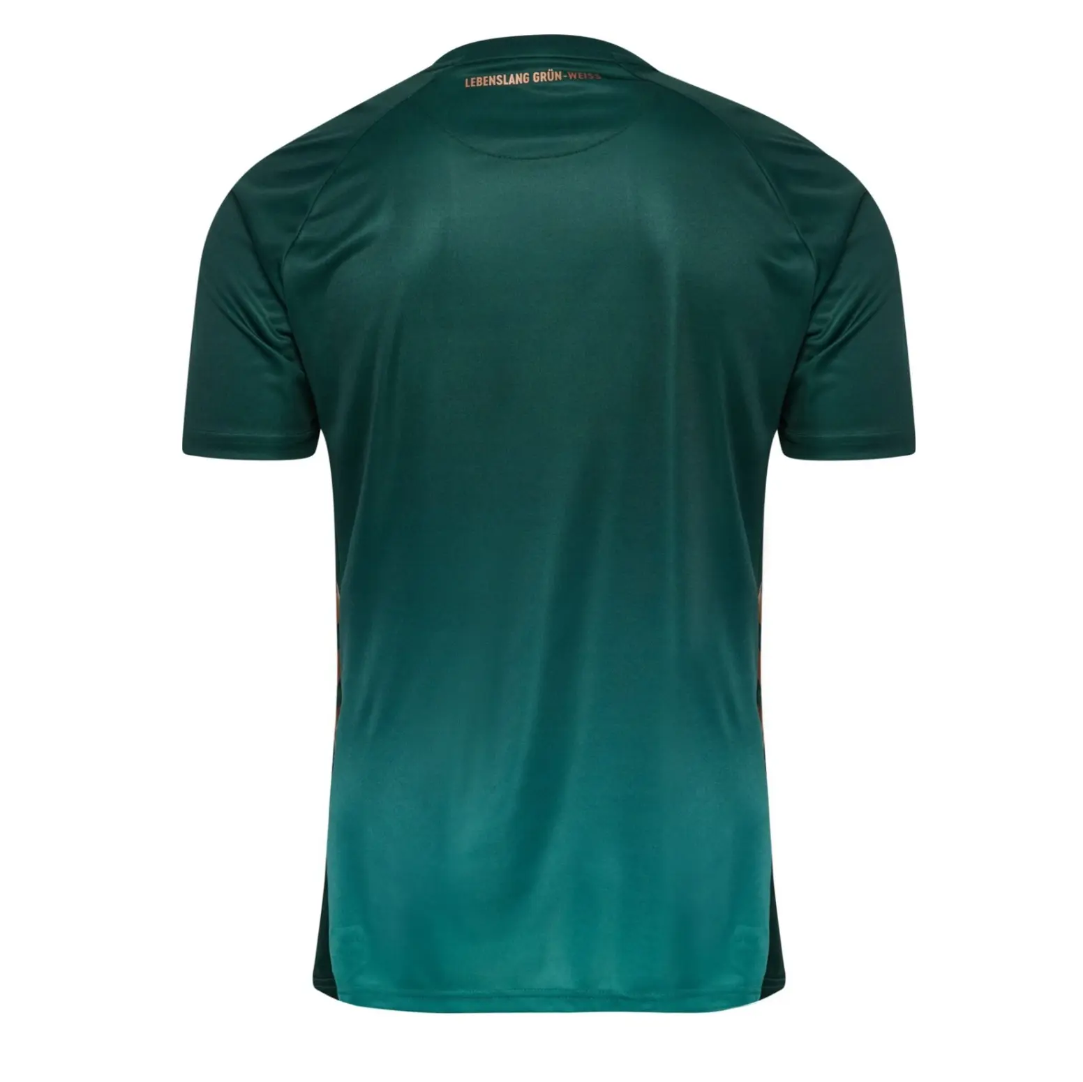 Camiseta Werder Bremen 2025/2026 Third Verde