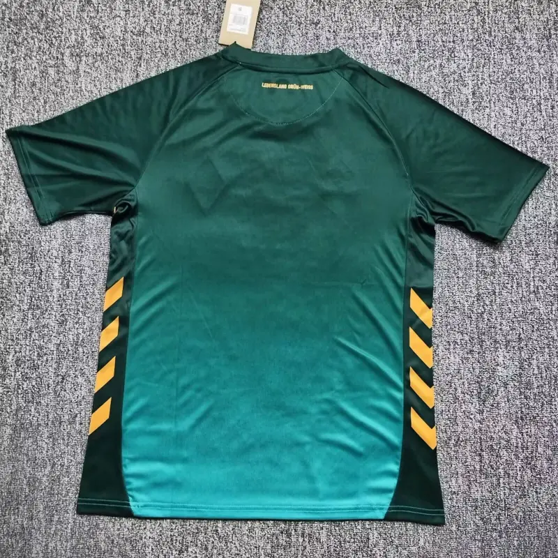 Camiseta Werder Bremen 2025/2026 Third Verde