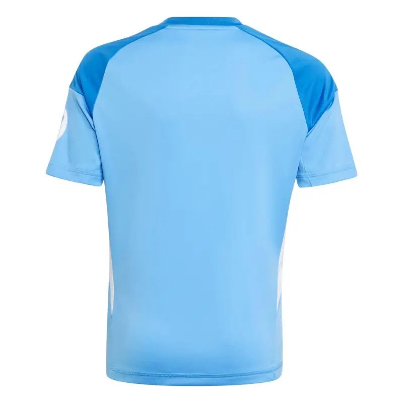 Camiseta Portero Real Madrid 2025/2026 Azul