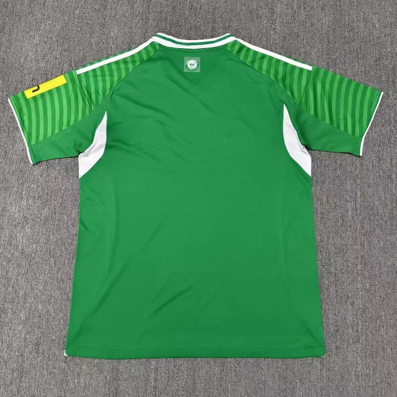 Camiseta Newcastle United 2025/2026 Away Verde/Blanco