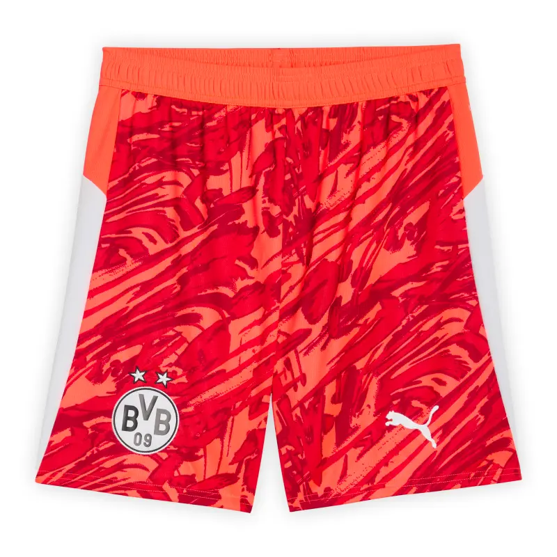 Camiseta de Portero Borussia Dortmund 2025/2026 Naranja