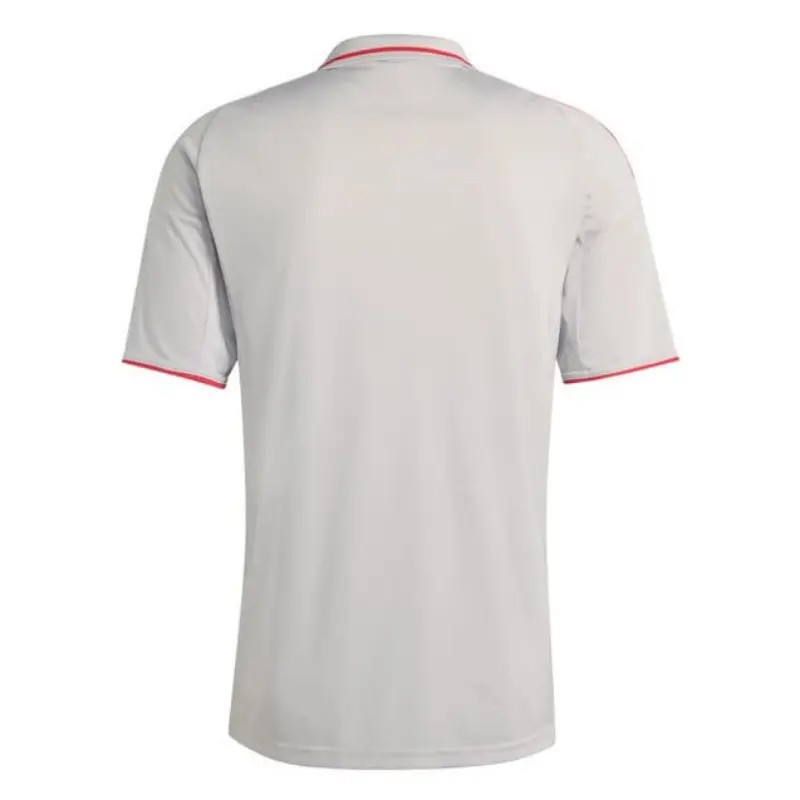 Camiseta Olympique De Lyon 2025/2026 Third Gris
