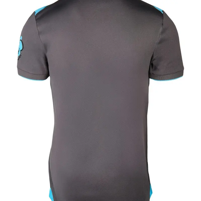 Camiseta Ipswich Town 2025/2026 Third Gris/Azul Claro