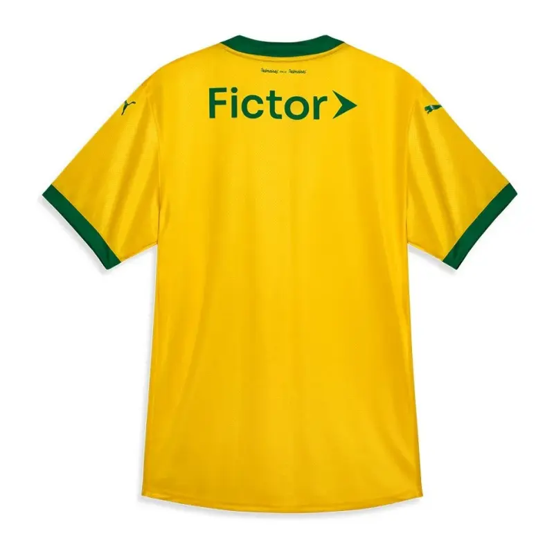Camiseta Palmeiras 2025/2026 Third Amarillo