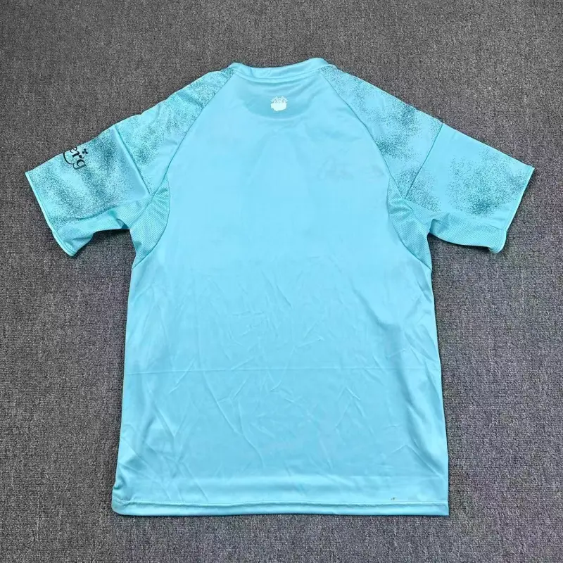 Camiseta Copenhagen 2025/2026 Third Verde