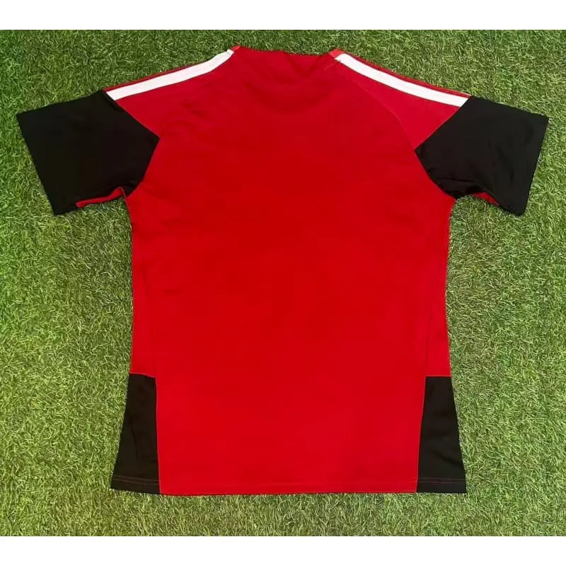Camiseta de Entrenamiento Alemania 2026 Rojo