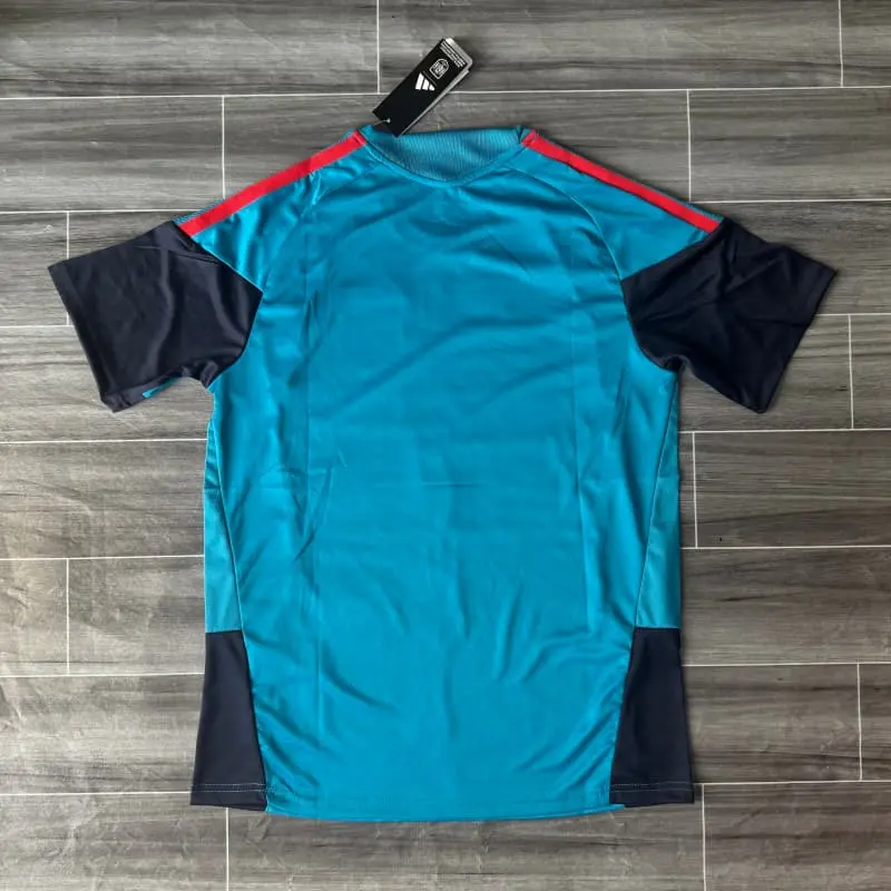 Camiseta de Entrenamiento España 2026 Azul Real