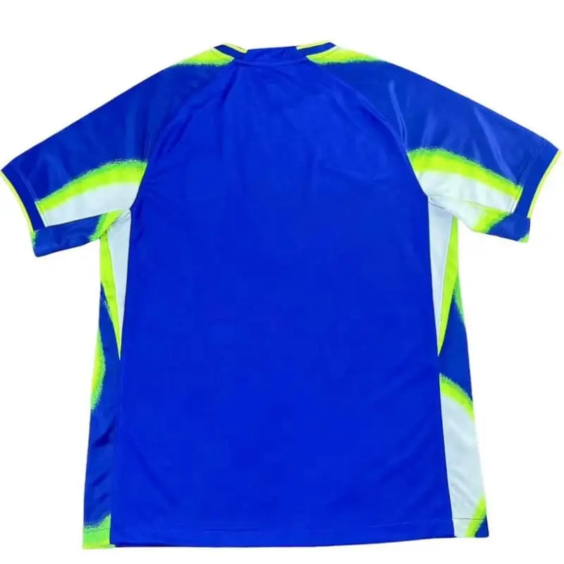 Camiseta Corea del Sur 2025 Away Azul