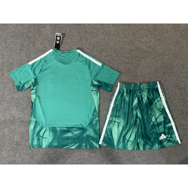 Camiseta de Portero Alemania Mundial 2026 Home Verde