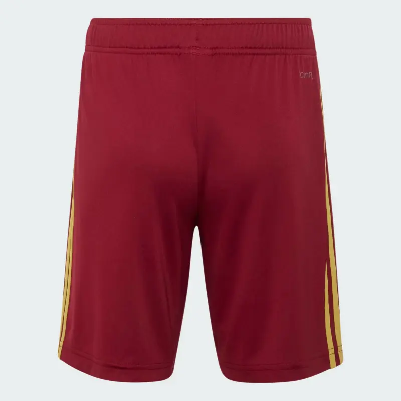 Camiseta España Home Equipación Mundial 2026 Rojo/Azul Edición Final