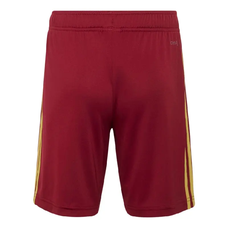 Pantalón Corto España Away Equipación Mundial 2026 Rojo 2 Estrellas