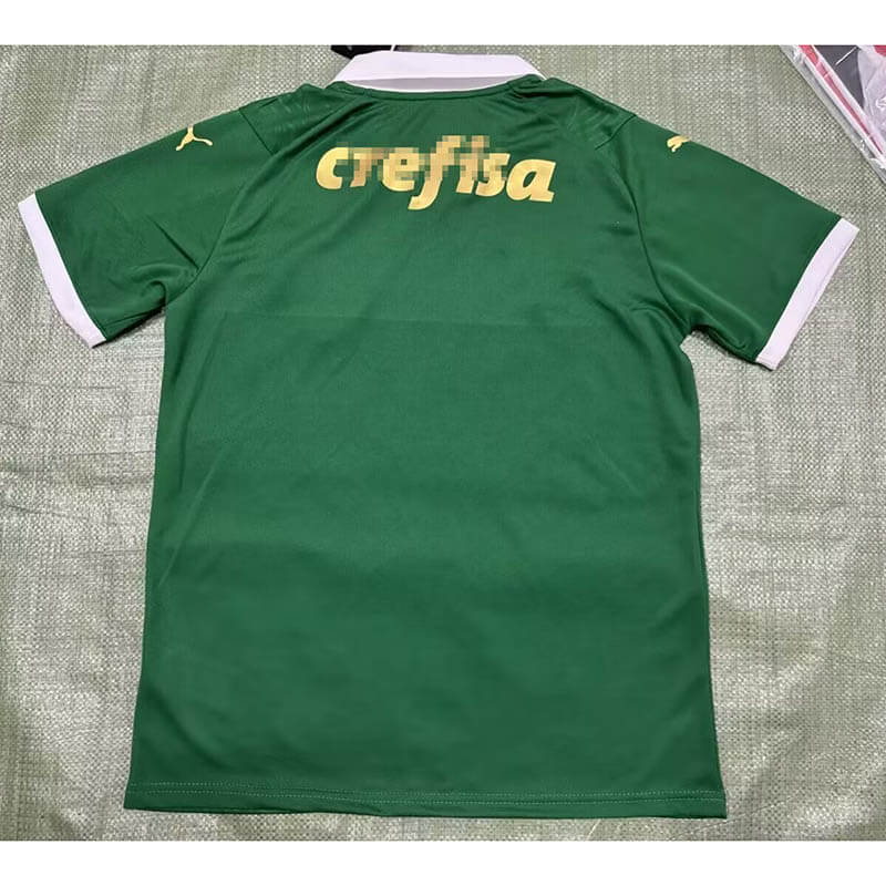 Camiseta Palmeiras 2024/2025 Home