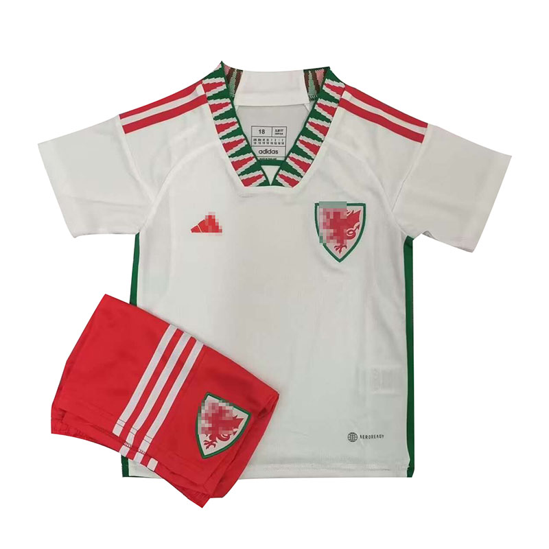 Camiseta Gales 2022 Away Niño Kit