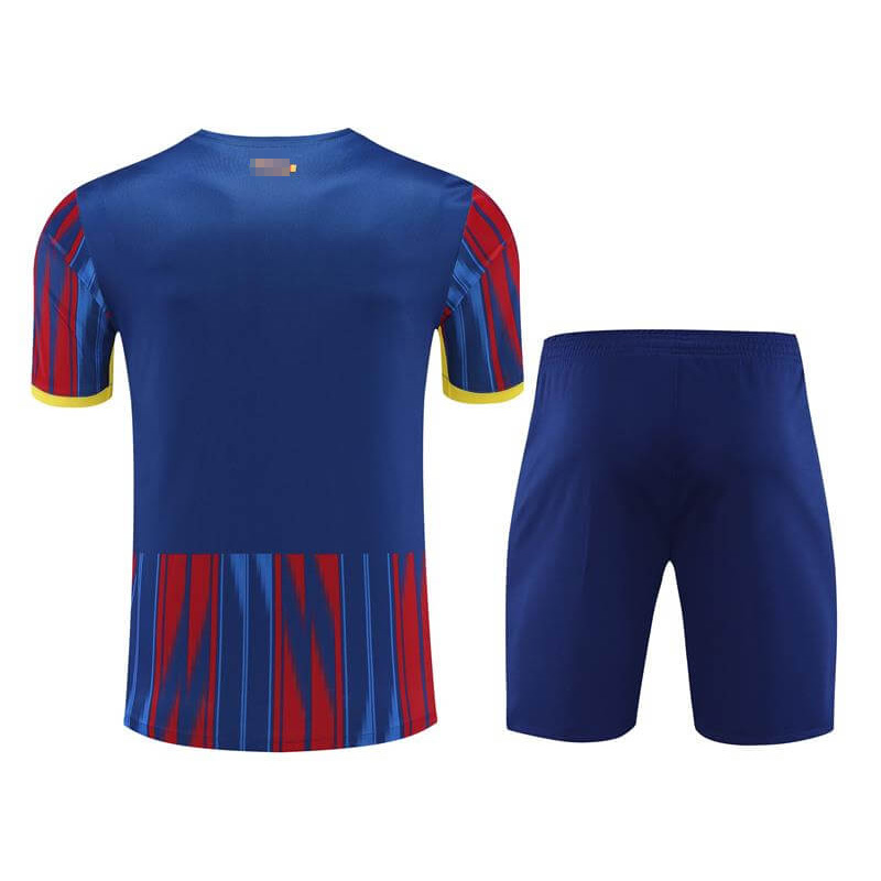 Camiseta de Entrenamiento de Barcelona 2023/2024 Azul/Rojo