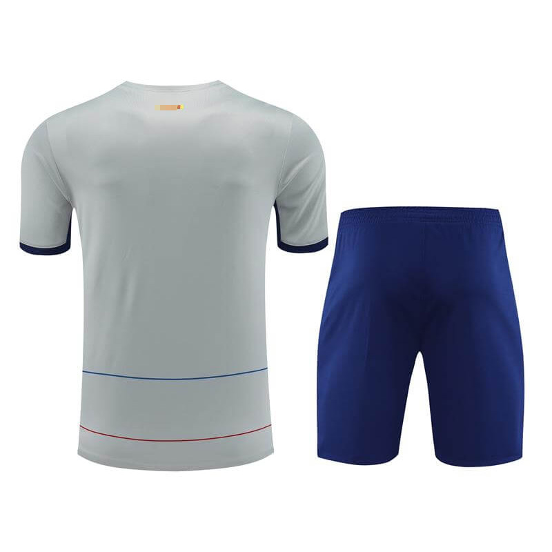 Camiseta de Entrenamiento de Barcelona 2023/2024 Gris
