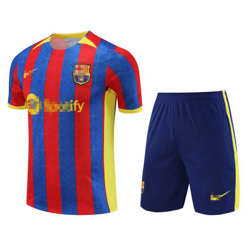 Camiseta de Entrenamiento de Barcelona 2023/2024 Rojo/Azul/Amarillo