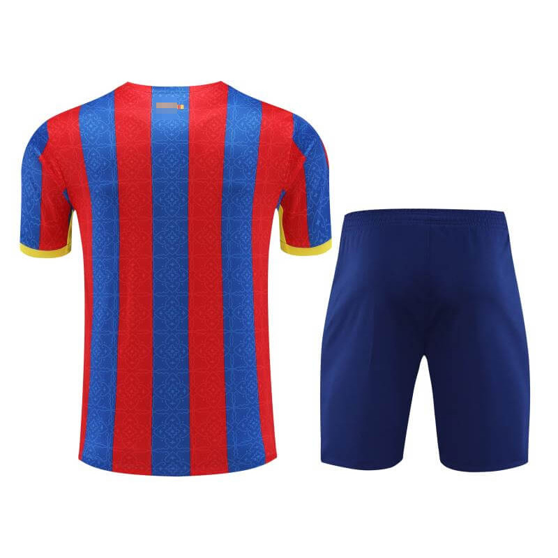 Camiseta de Entrenamiento de Barcelona 2023/2024 Rojo/Azul/Amarillo