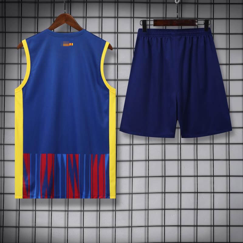 Camiseta de Entrenamiento de Barcelona Sin Mangas 2023/2024 Kit Azul/Rojo