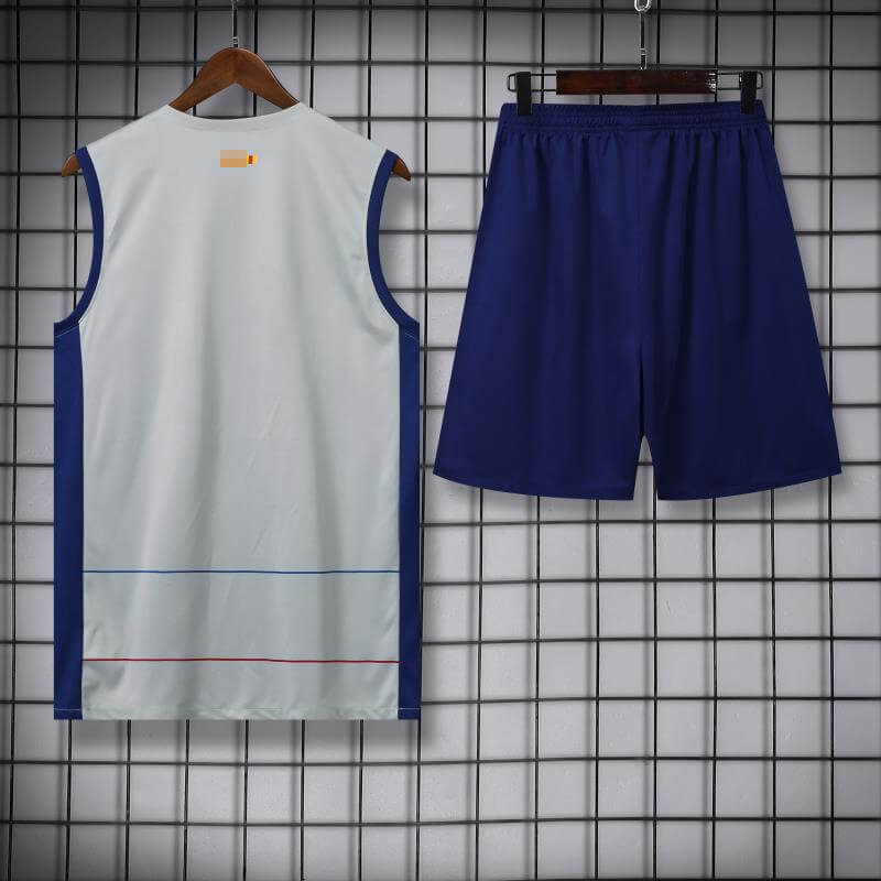 Camiseta de Entrenamiento de Barcelona Sin Mangas 2023/2024 Kit Gris