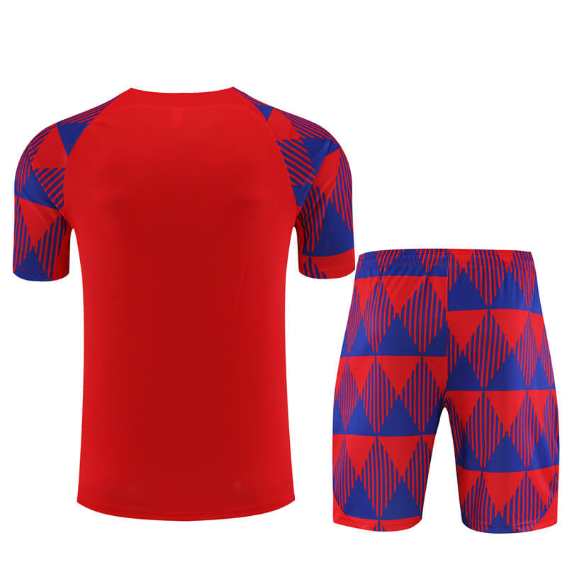 Camiseta de Entrenamiento de Barcelona 2023/2024 Rojo/Azul