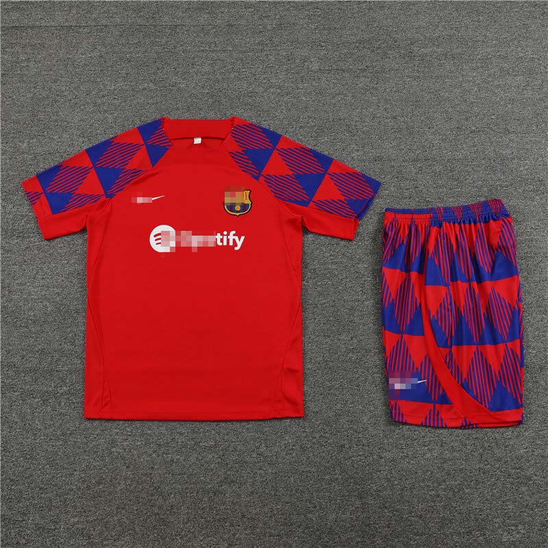 Camiseta de Entrenamiento de Barcelona 2023/2024 Rojo/Azul