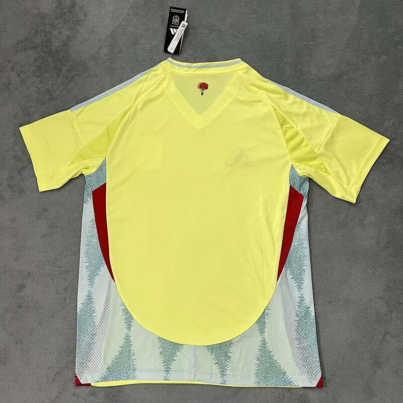 Camiseta España 2024 Away