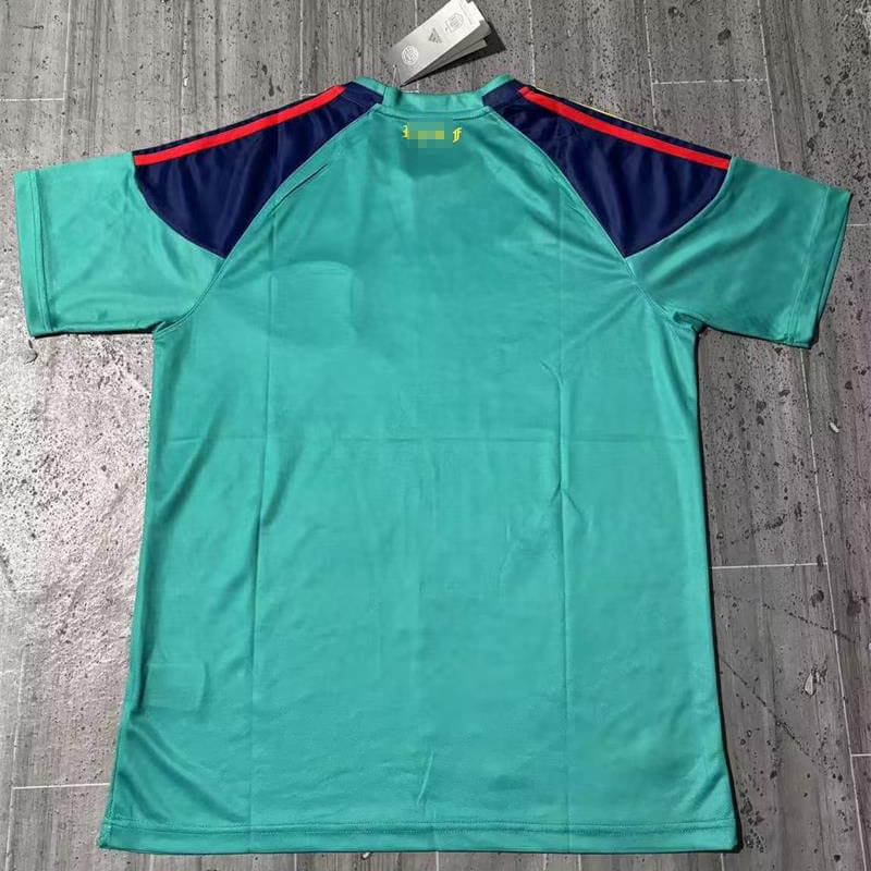 Camiseta de Portero España 2010 Retro Verde