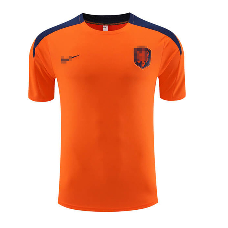 Camiseta de Entrenamiento de Holanda 2023 Naranja