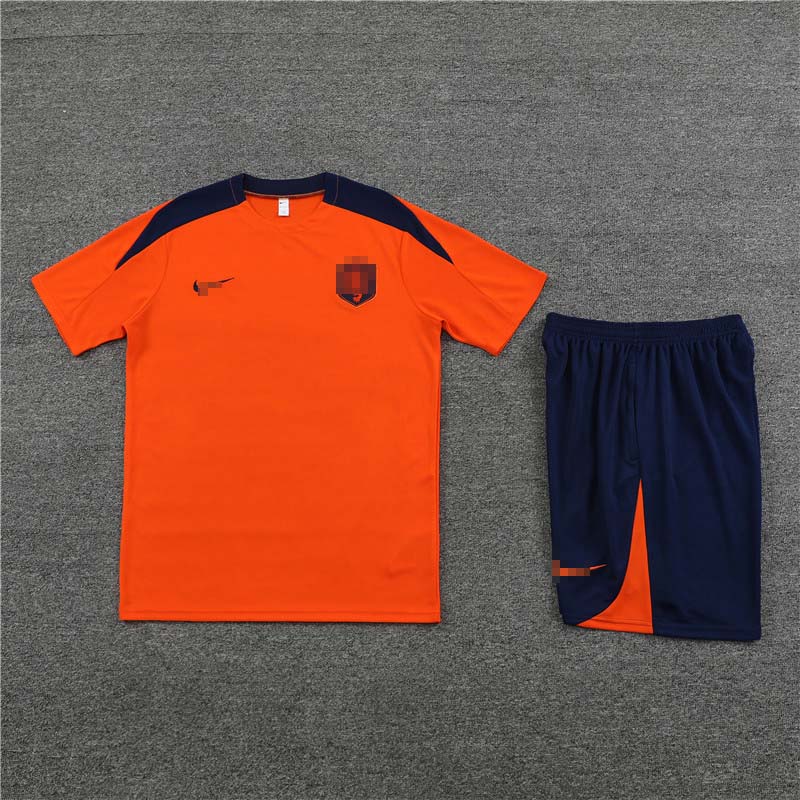 Camiseta de Entrenamiento de Holanda 2023 Naranja