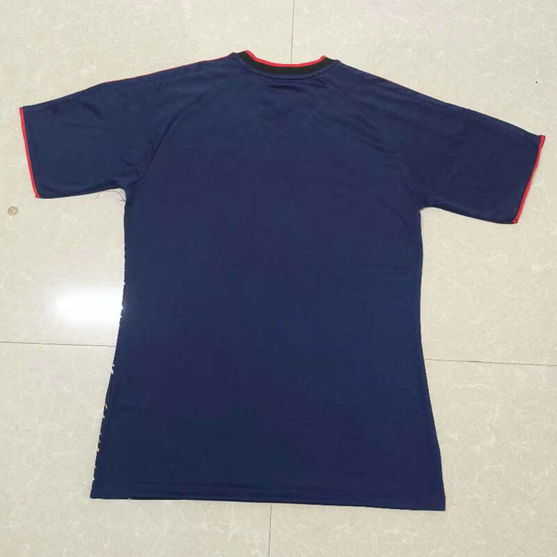 Camiseta de Japón 2023 Azul Marino