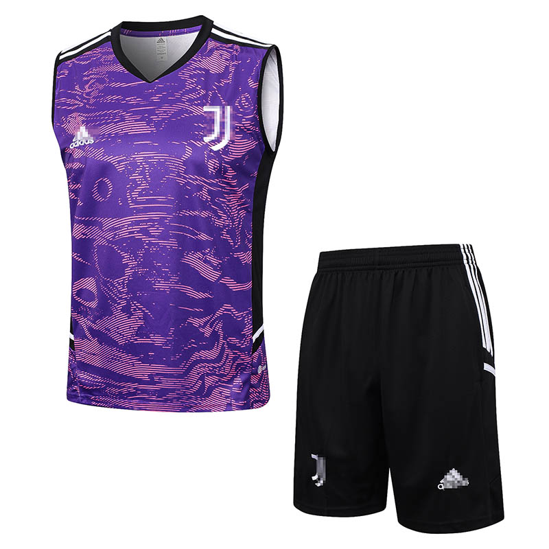 Camiseta de Entrenamiento de Juventus Sin Mangas 2023/2024 Morado Kit