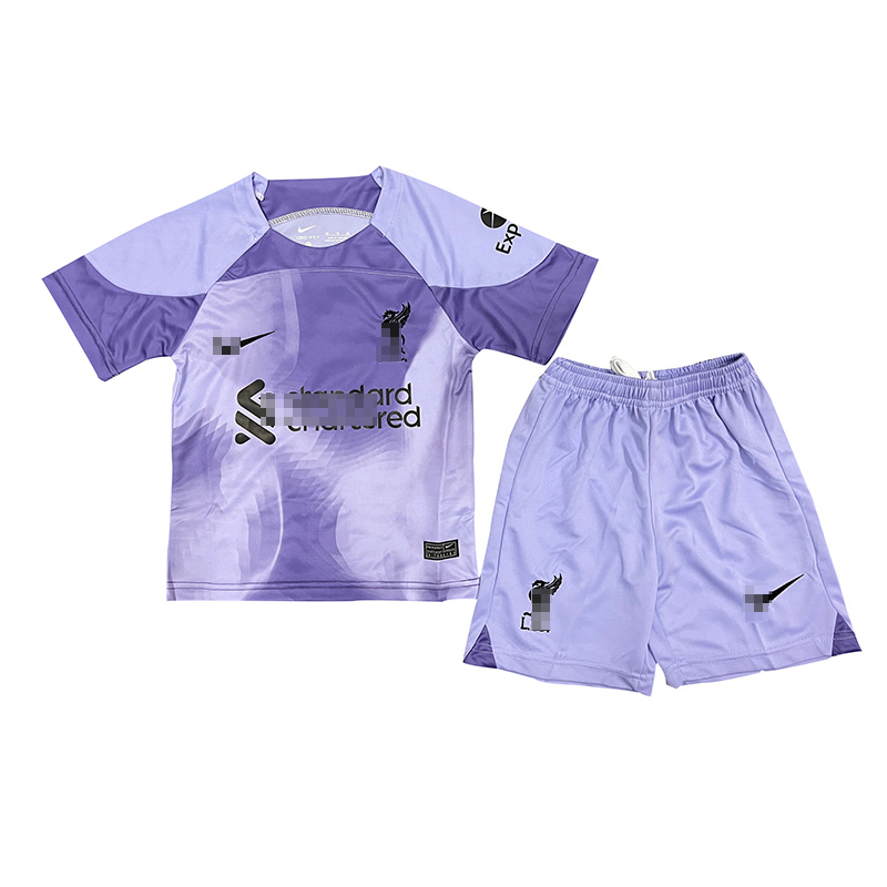 Camiseta De Portero Liverpool Niño Kit Púrpura 2022/2023