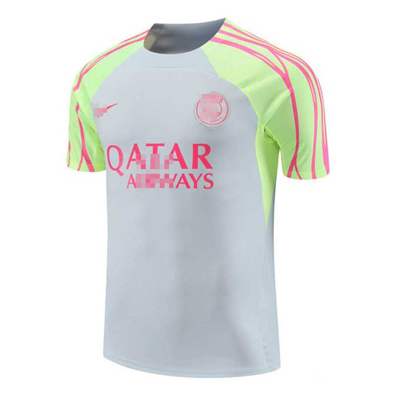 Camiseta de Entrenamiento de PSG 2023/2024 Gris Claro/Verde