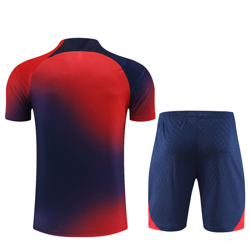 Camiseta de Entrenamiento de PSG 2023/2024 Rojo/Azul